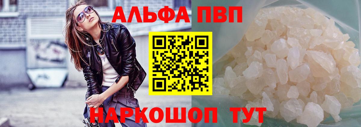 Alfa_PVP СК Урус-Мартан